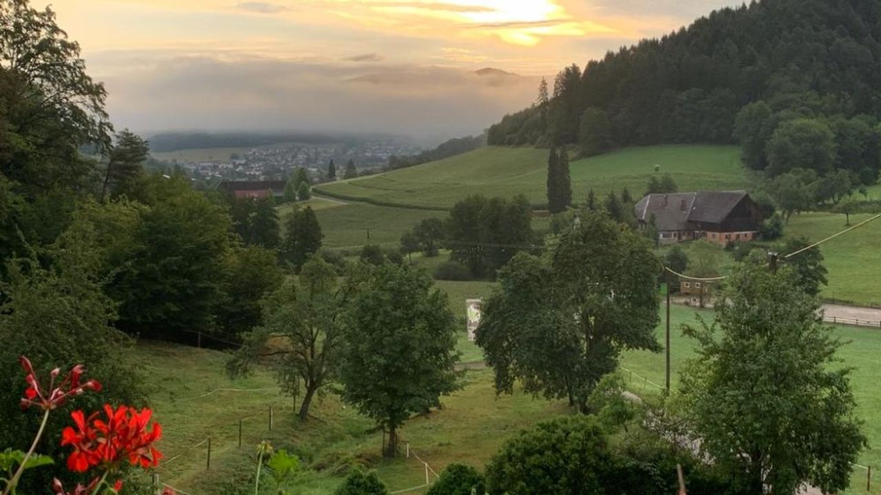 Blick von den Balkonen ins Tal Blick von den Balkonen ins Tal